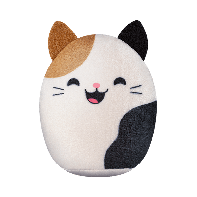 Cam the Cat